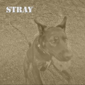 Stray