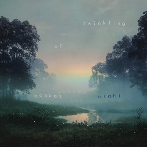 Twinkling Echoes of Night