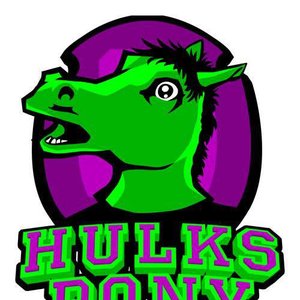 Avatar for Hulk's Pony