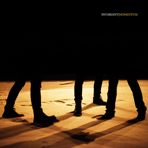 Momentum by Invariant