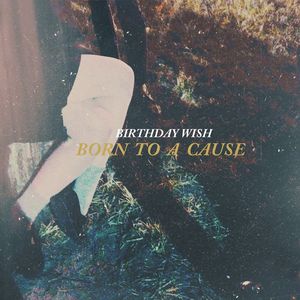 Born To A Cause by Birthday Wish