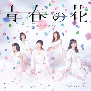 青春の花/スタートライン