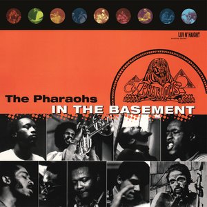 In the Basement