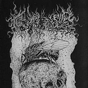 Demo. 2017