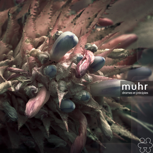 Drames Et Précipies by Muhr