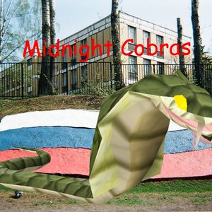 Avatar for Midnight Cobras