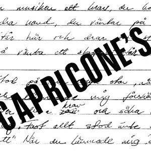 Avatar for Capricone's