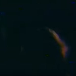 Under Starlit Firmament
