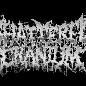 Avatar di Shattered Cranium
