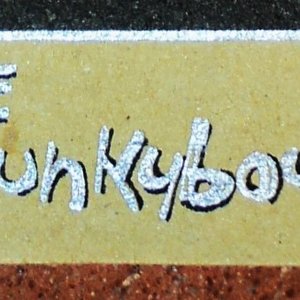Avatar for The Spunkyboyz