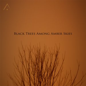 Black Trees Among Amber Skies