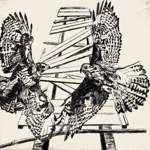 Where Two Hawks Fly