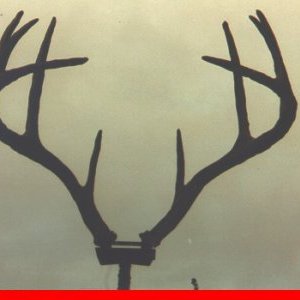 Avatar for Percussive Customer