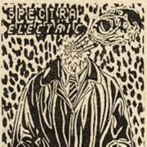 Avatar for spectra electric