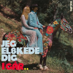 Jeg elskede dig i går..