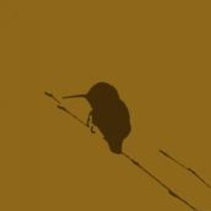 Avatar for The Soulbird