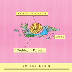 Nothing Is Forever (Yuksek Remix)
