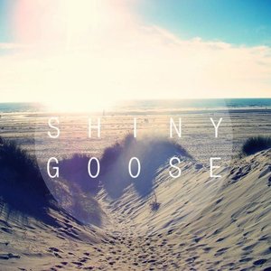 Avatar for Shiny Goose