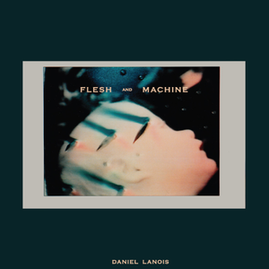 Flesh and Machine album cover