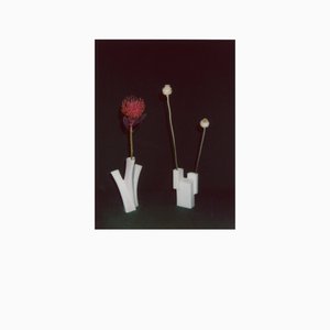 The Flower And The Vessel