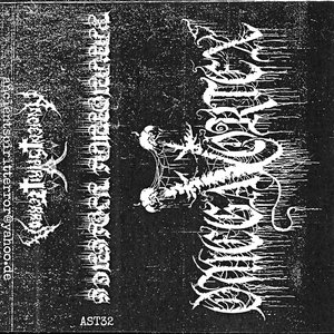 Paranormal Violence
