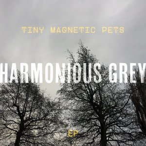 Harmonious Grey
