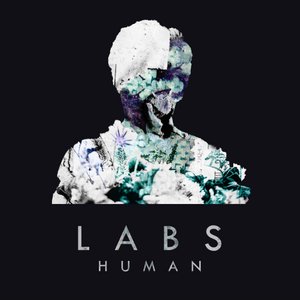 Human