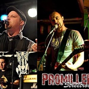 Avatar for Promilleritter
