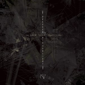 N.V.