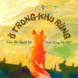 Ở Trong Khu Rừng (Cảm Ơn Người Đã Thức Cùng Tôi Original Soundtrack)
