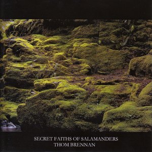 Secret Faiths Of Salamanders