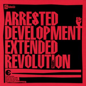 Extended Revolution