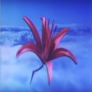 Avatar for 日本語の文字
