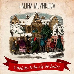 Choinki tulą się do ludzi