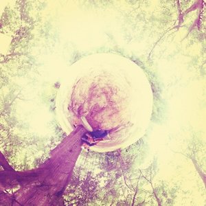 Avatar for No Sleep