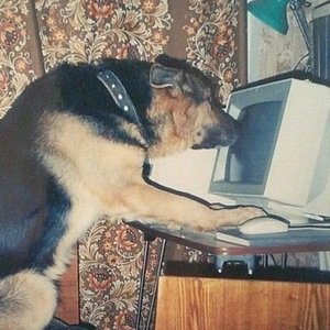 Avatar for freeCodeCamp.org