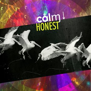 Avatar for calmdown