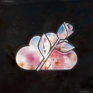Avatar for Sky Roses