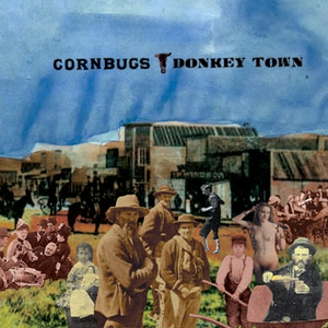 Donkey Town album cover