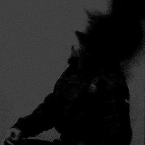 Avatar for Night Winters