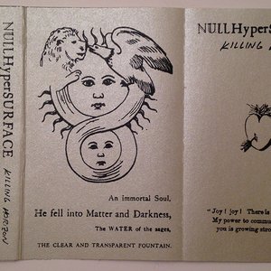 Avatar for NULLHyperSURFACE