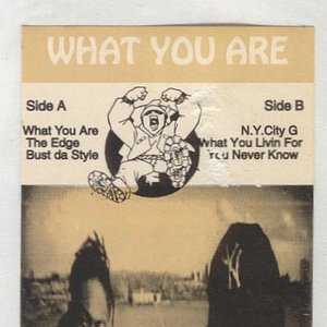 what you are