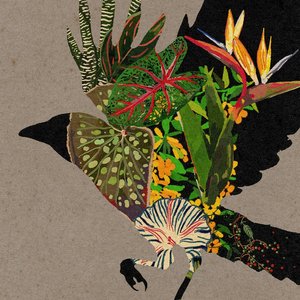 Avatar for NDiPA X Flex Machina