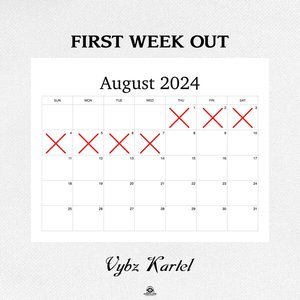 Vybz Kartel - First Week Out - Zortam Music