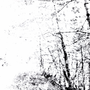 The White EP by Agalloch