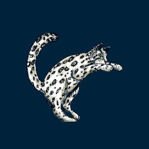 Avatar for Yuki Leopard