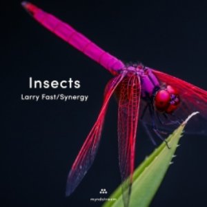Insects - Single