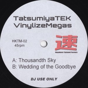 TatsumiyaTEK VinylizeMegas