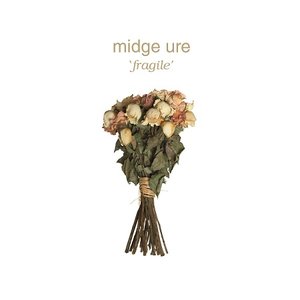 Midge Ure - Become Lyrics - Zortam Music