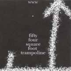 Avatar for 54 sq. ft. trampoline